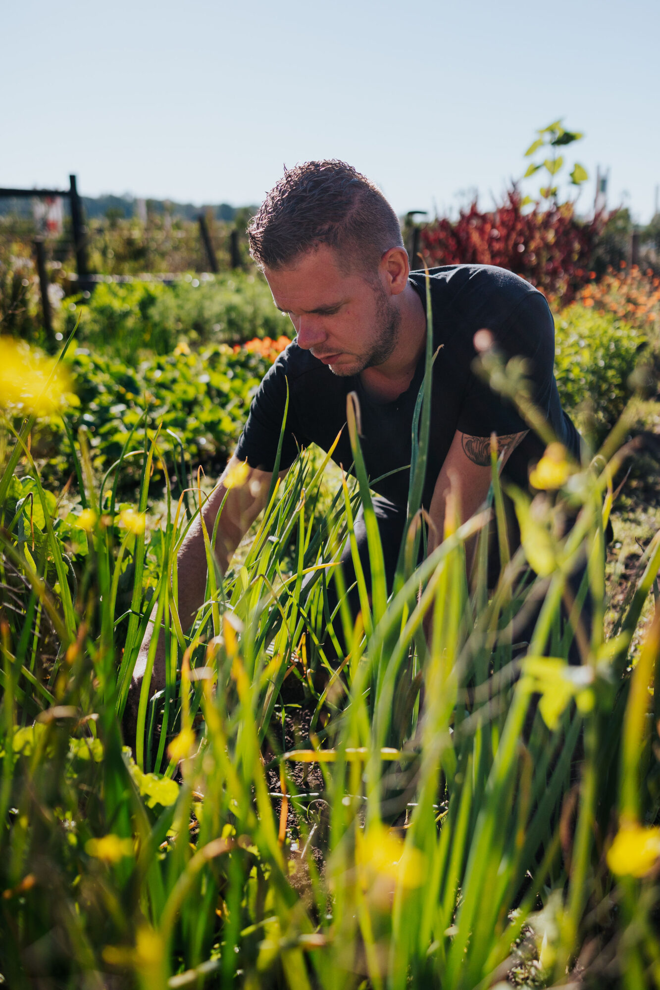 20230906Niemeijer-042